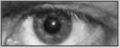 Example bilinear eye.jpg
