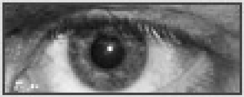 File:Example nearestneighbor eye.png